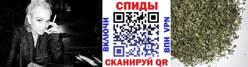 Бутират бутик omg рабочий сайт Североморск