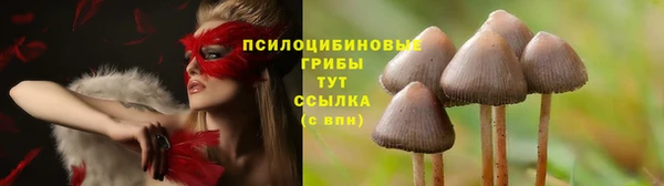 MDMA Абдулино